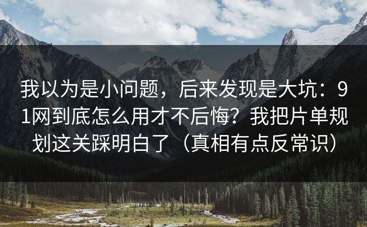 我以为是小问题,后来发现是大坑:91网到底怎么用才不后悔?我把片单规划这关踩明白了(真相有点反常识)