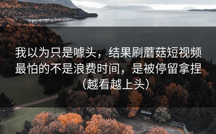 我以为只是噱头,结果刷蘑菇短视频最怕的不是浪费时间,是被停留拿捏(越看越上头) 第1张 我以为只是噱头,结果刷蘑菇短视频最怕的不是浪费时间,是被停留拿捏(越看越上头) 第1张