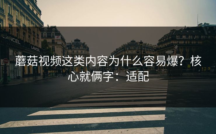 蘑菇视频这类内容为什么容易爆？核心就俩字：适配  第1张