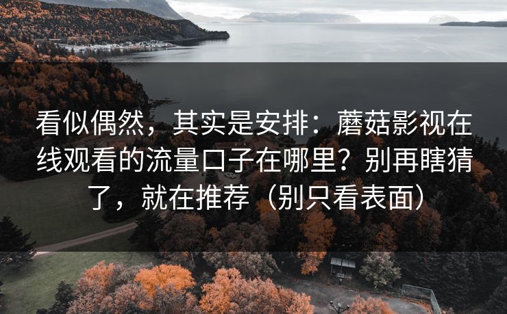 看似偶然，其实是安排：蘑菇影视在线观看的流量口子在哪里？别再瞎猜了，就在推荐（别只看表面）  第1张
