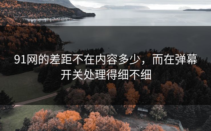 91网的差距不在内容多少，而在弹幕开关处理得细不细  第1张