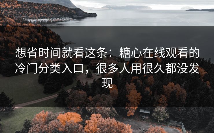想省时间就看这条：糖心在线观看的冷门分类入口，很多人用很久都没发现