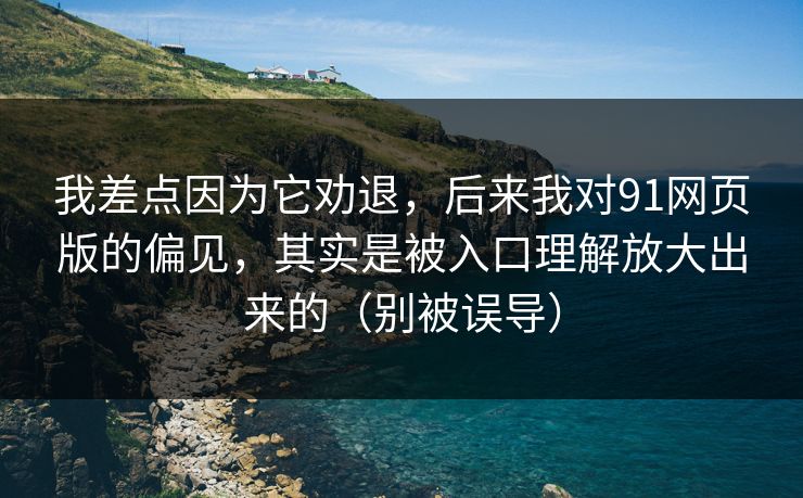 我差点因为它劝退，后来我对91网页版的偏见，其实是被入口理解放大出来的（别被误导）
